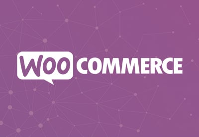 A Beginner's Guide to Using WooCommerce