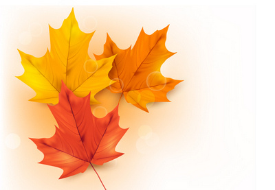 How to Draw a Colorful Autumn Background With Leaves in Adobe Illustrator