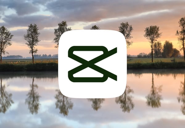 How to quickly reverse videos in CapCut