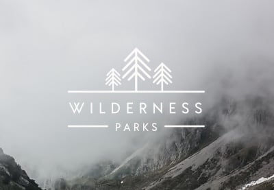 Creating Professional Logos in an Instant