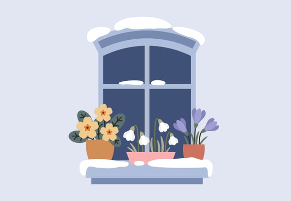 How to draw winter flowers in Illustrator