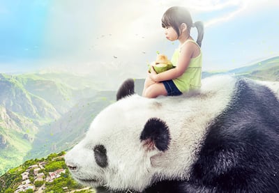 How to create a giant panda photo manipulation in Affinity Photo