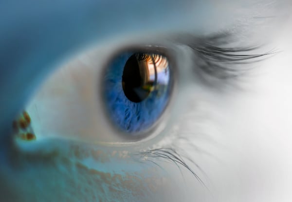 Why we see ghost images: After-images and successive contrast