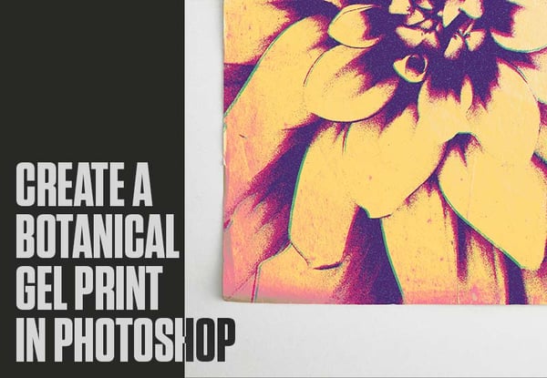 How to Create a Botanical Gel Printing Effect in Photoshop
