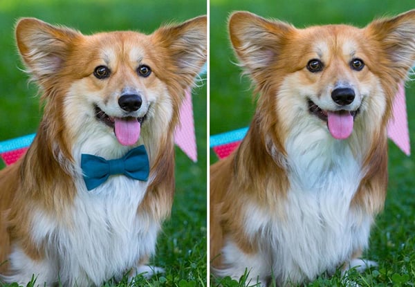 How to use the Remove Tool in Photoshop