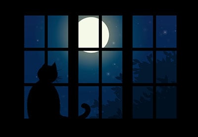 Vector Silhouettes for Beginners