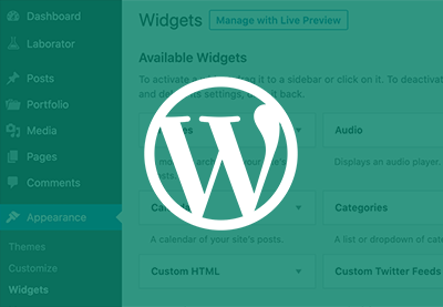 Everything You Need to Know About WordPress Widgets