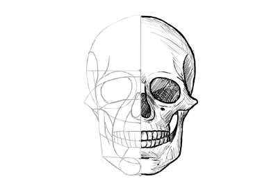 How to draw a skull